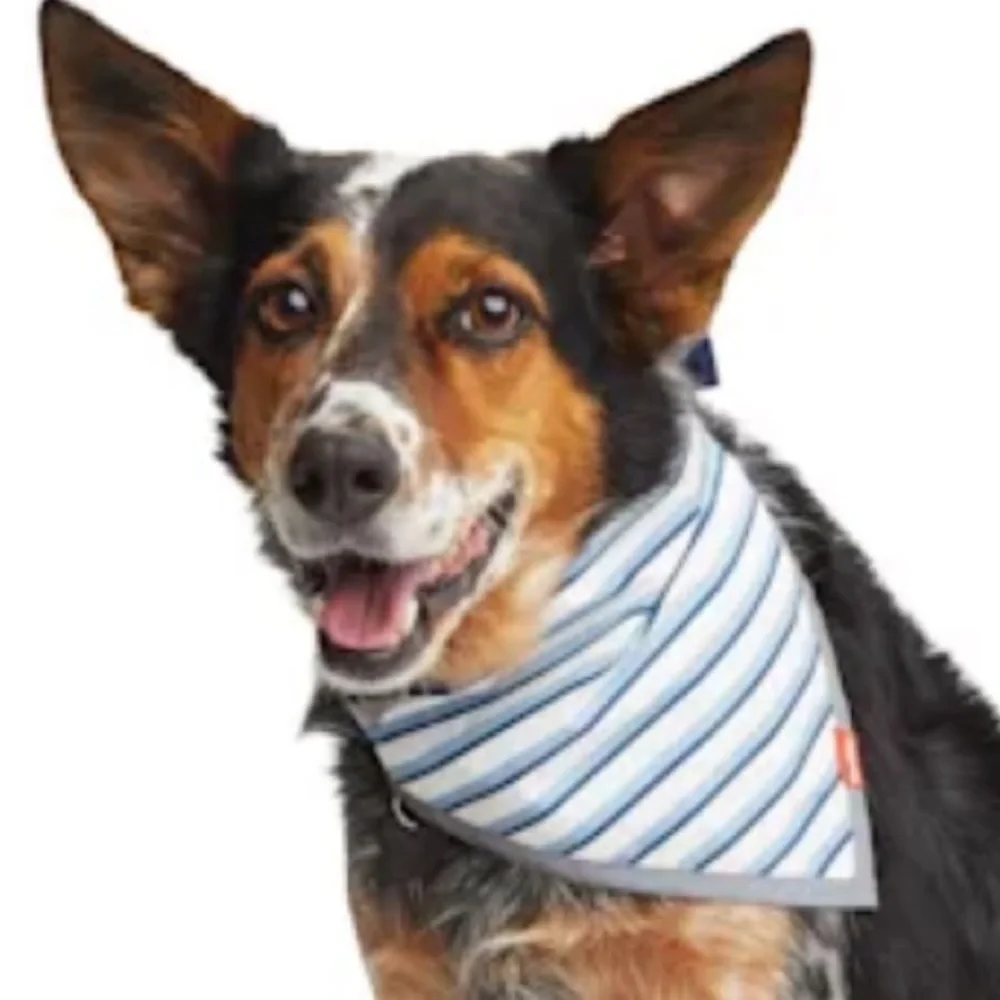 NWT Reddy reversible reflective striped Camo Bandana XS/S
